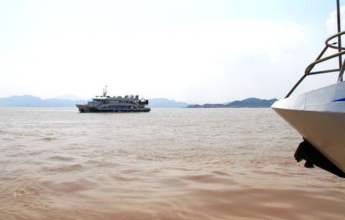 航程與禪心 從國際貨運代理到普陀山的朝圣之旅